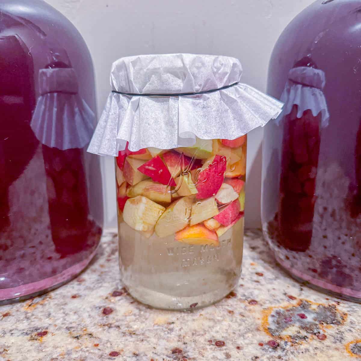 a mason jar full of chopped apples and water covered with a coffee filter between to wine carboys. 