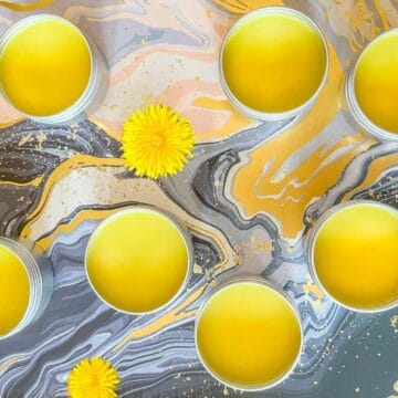 tins of dandelion salve with dandelion flowers around them.