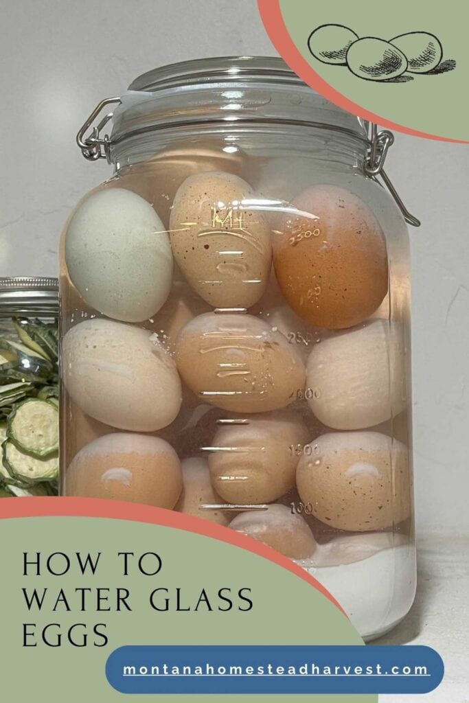 water glassed eggs in a jar