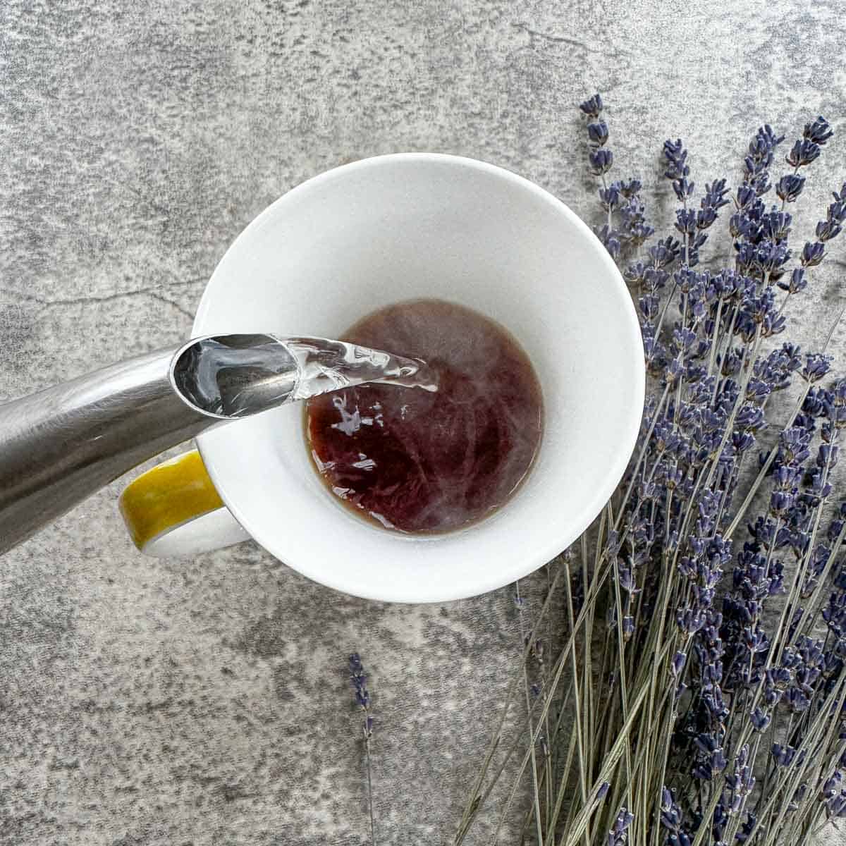 pouring hot water over lavender tea. 