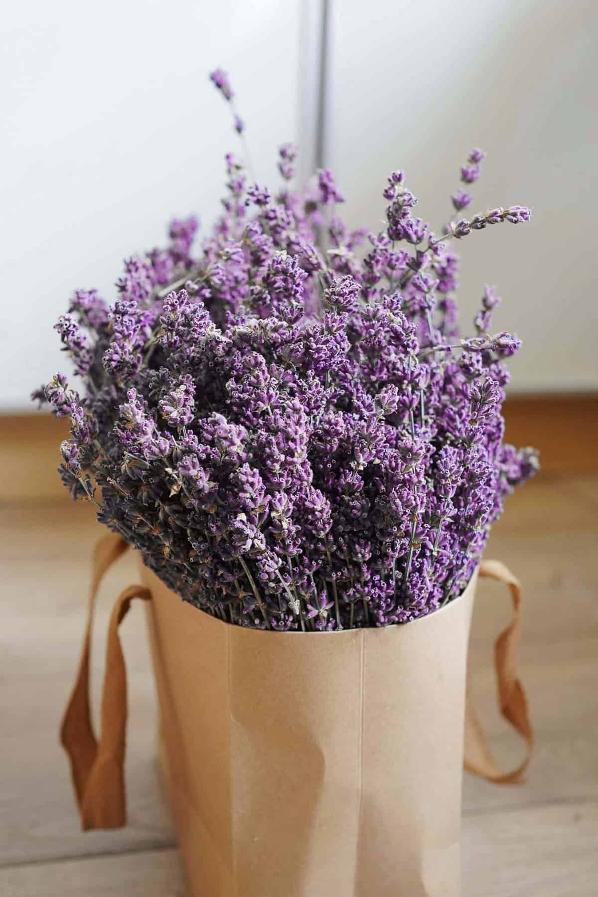 a bunch of lavender in a paper bag.