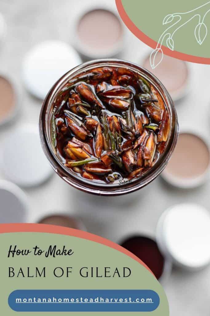 balm of gilead in a jar with more salve in tins.