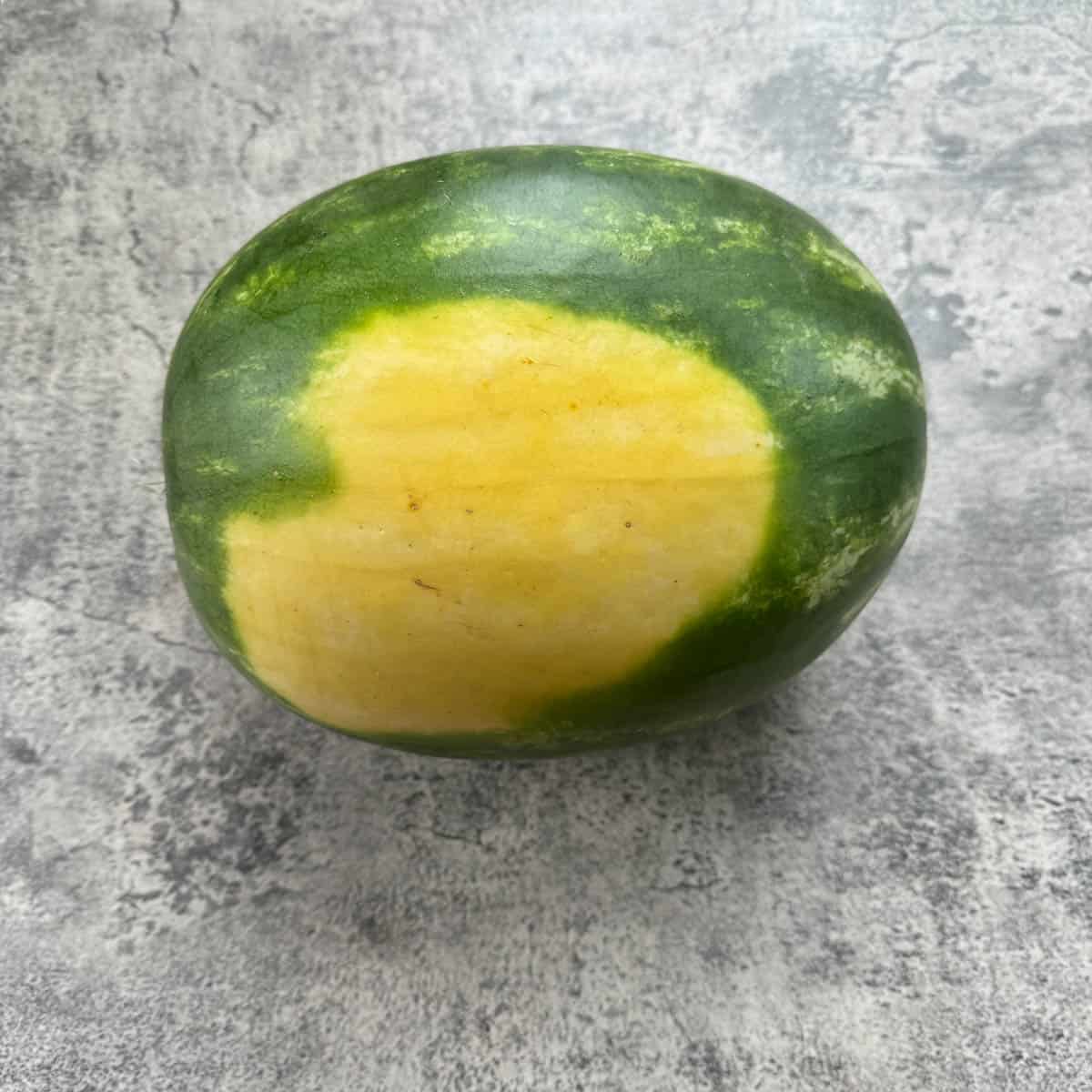 watermelon with a yellow spot. 
