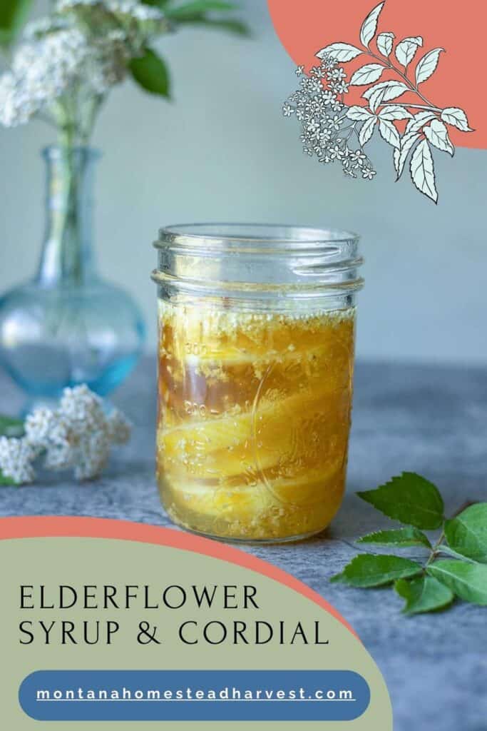 elderflower syrup and cordial.