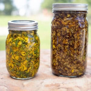 St. John's Wort Oil