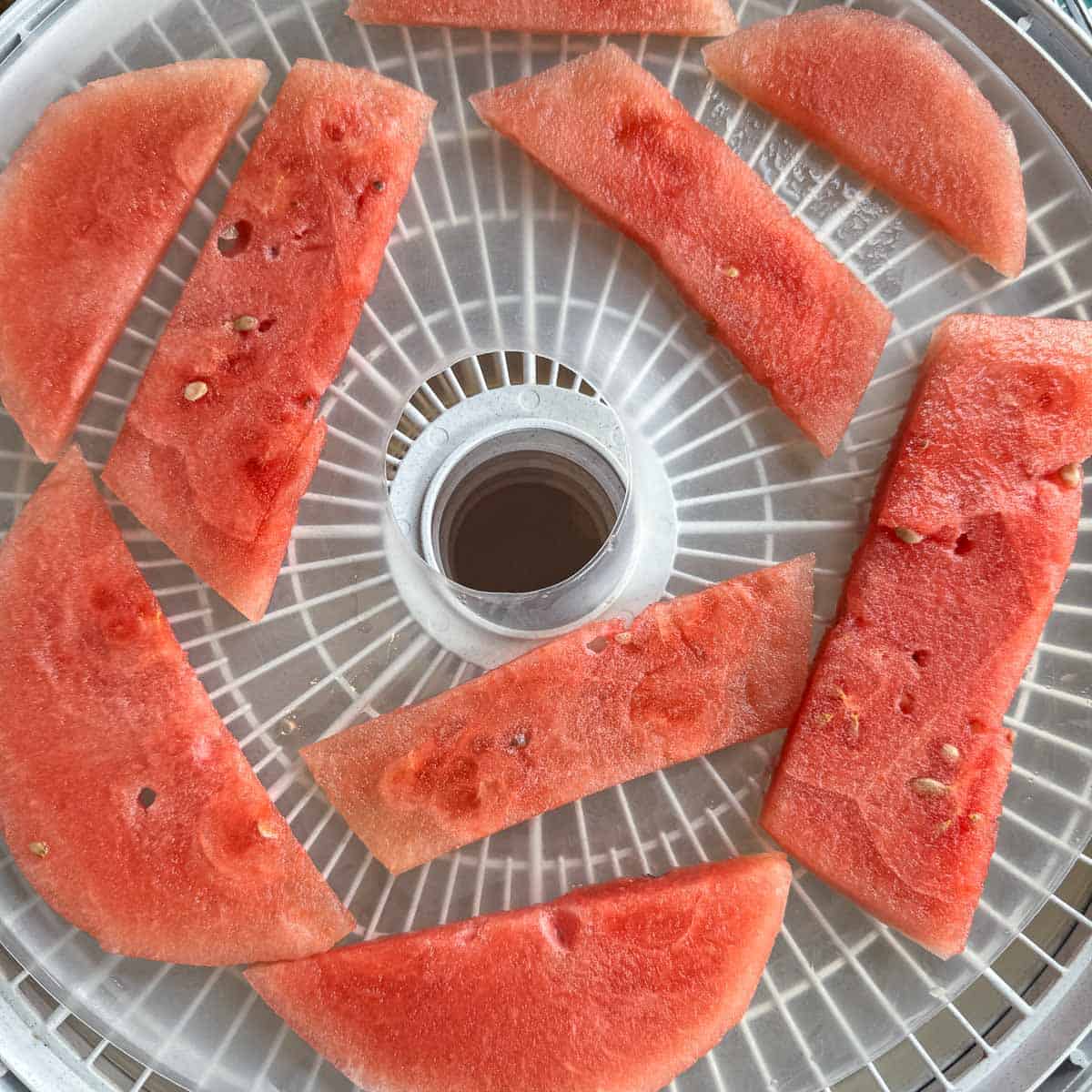 watermelon strips on dehydrator trays. 