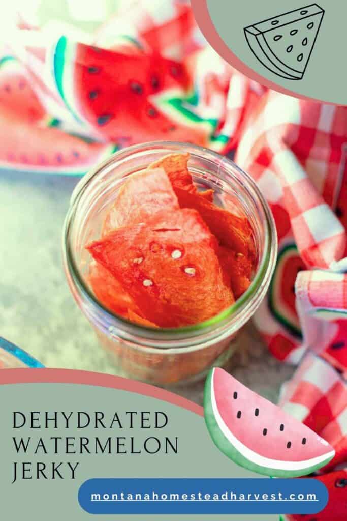 watermelon jerky in a jar with a colorful dish towel around it.