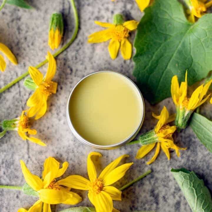 arnica salve surrounded by arnica flowers.