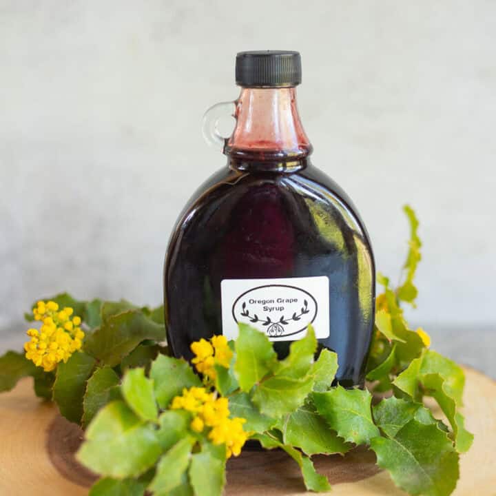 Oregon grape syrup in a jar.
