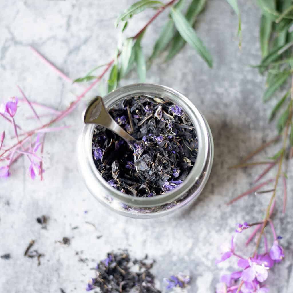 Russian Fireweed Tea (Ivan Tea) | montanahomesteadharvest.com