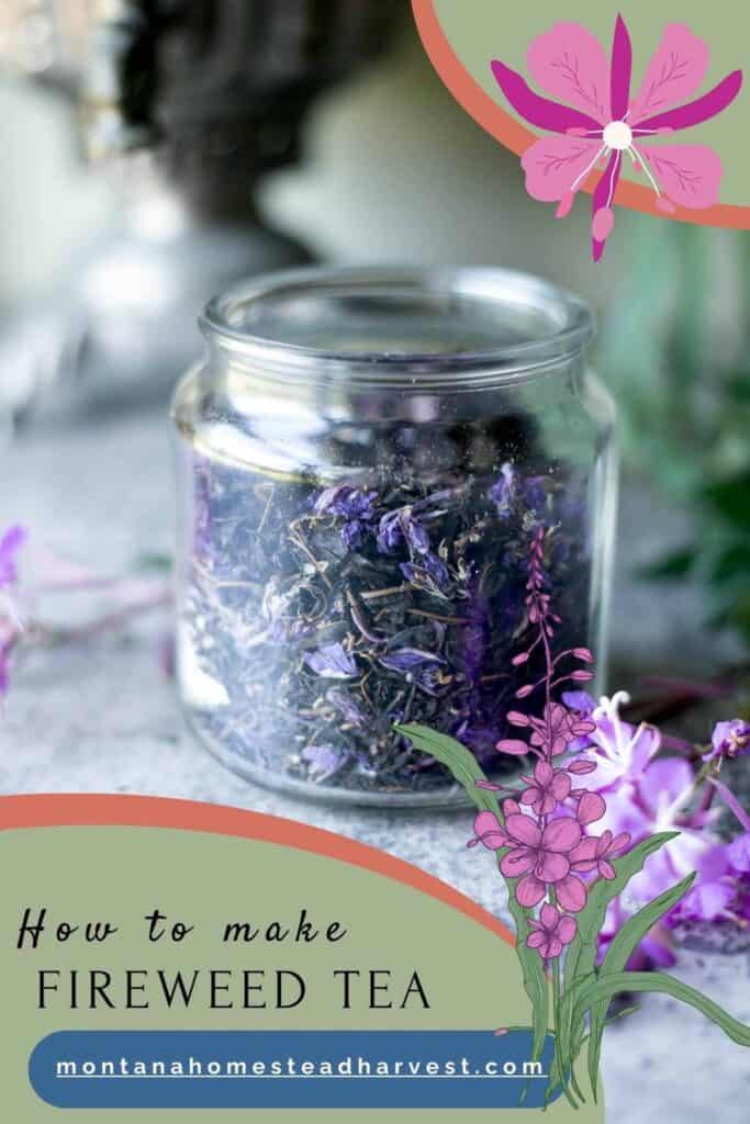 fireweed tea in a jar with fireweed flowers areound it and a samovar behind it.
