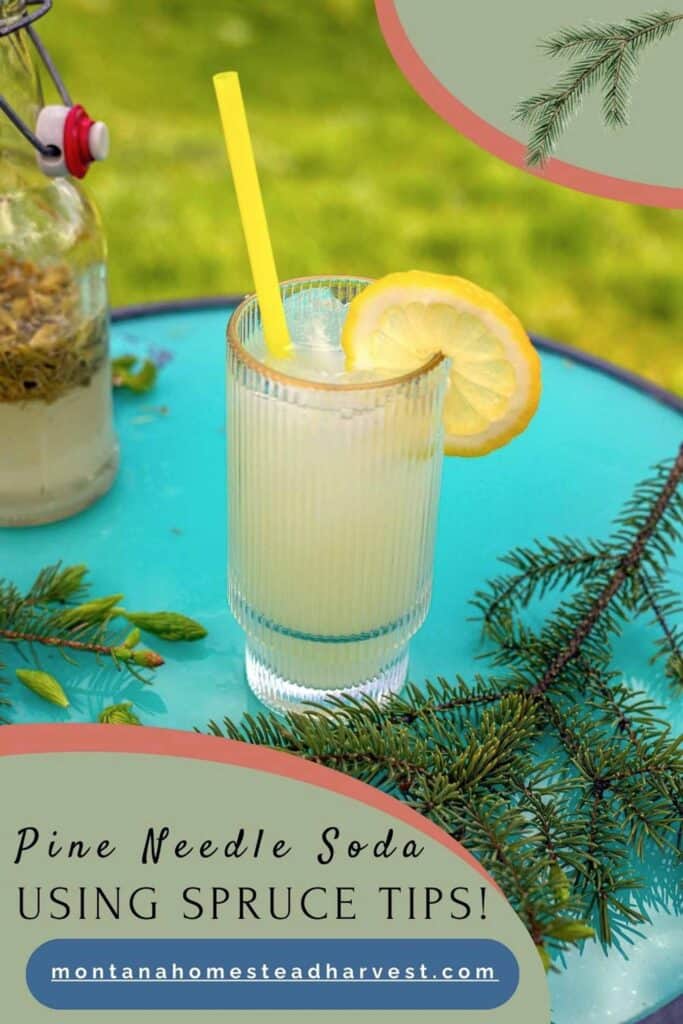 spruce tip soda in a glass with a yellow straw and a lemon slice.