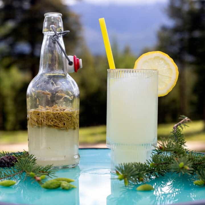 pine needle soda made with spruce tips in a galss with a lemon wedge.