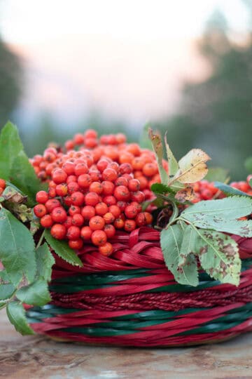 rowanberries in a basket.