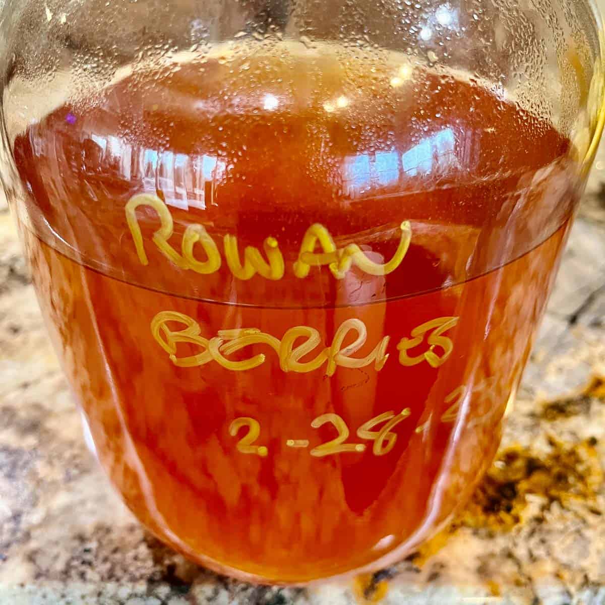 A carboy with rowanberry wine. 