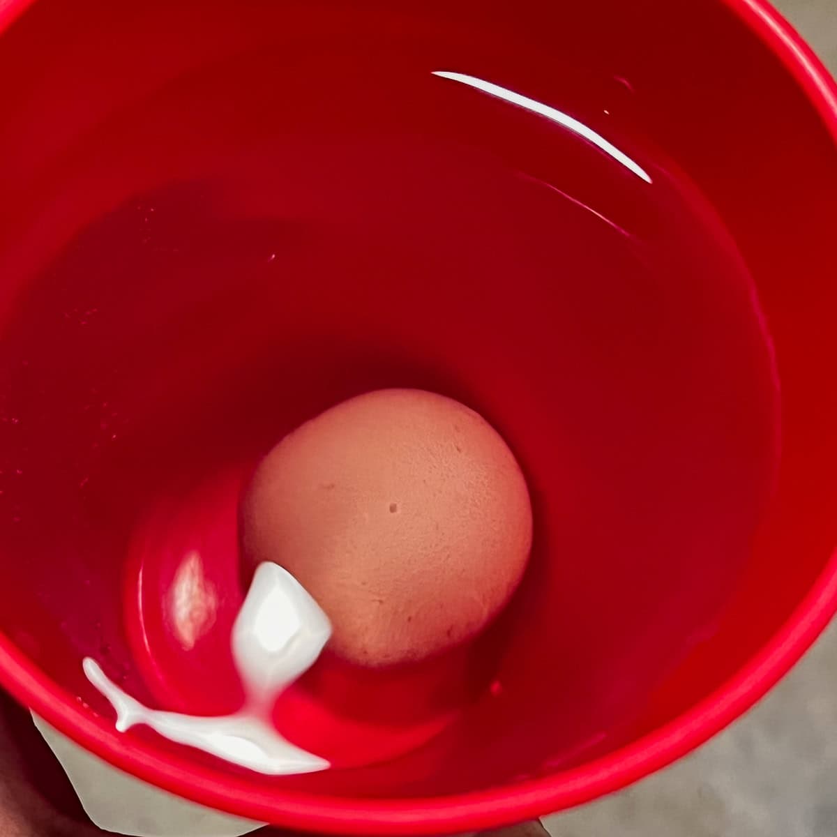 egg sinking to bottom of a red cup with water. 