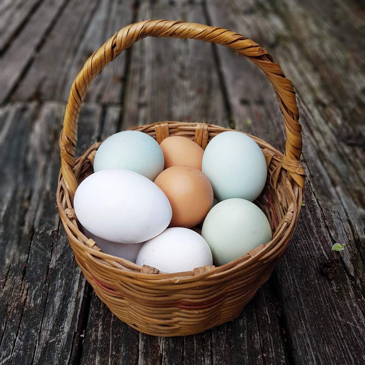 a basket of eggs. 