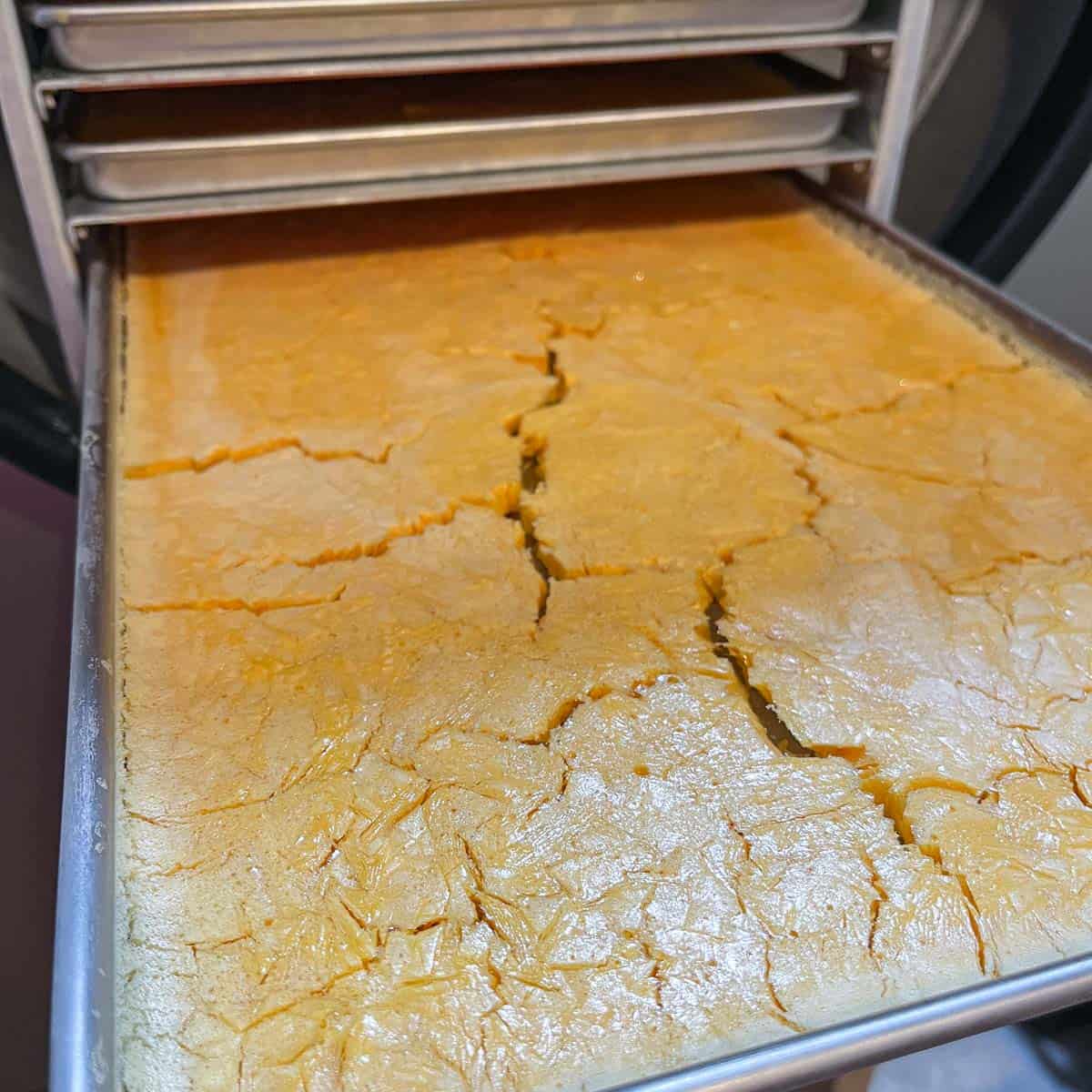 freeze dryer tray with freeze dried eggs. 