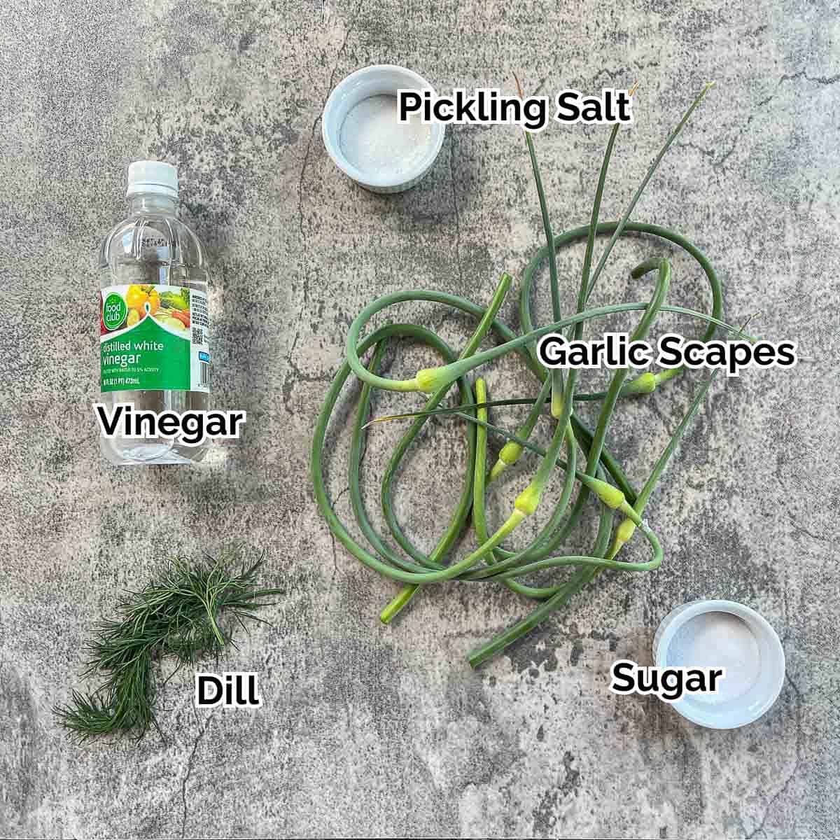 pickled garlic scape ingredients. 