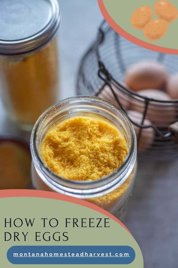 freeze dried eggs in jars with a basket of eggs.