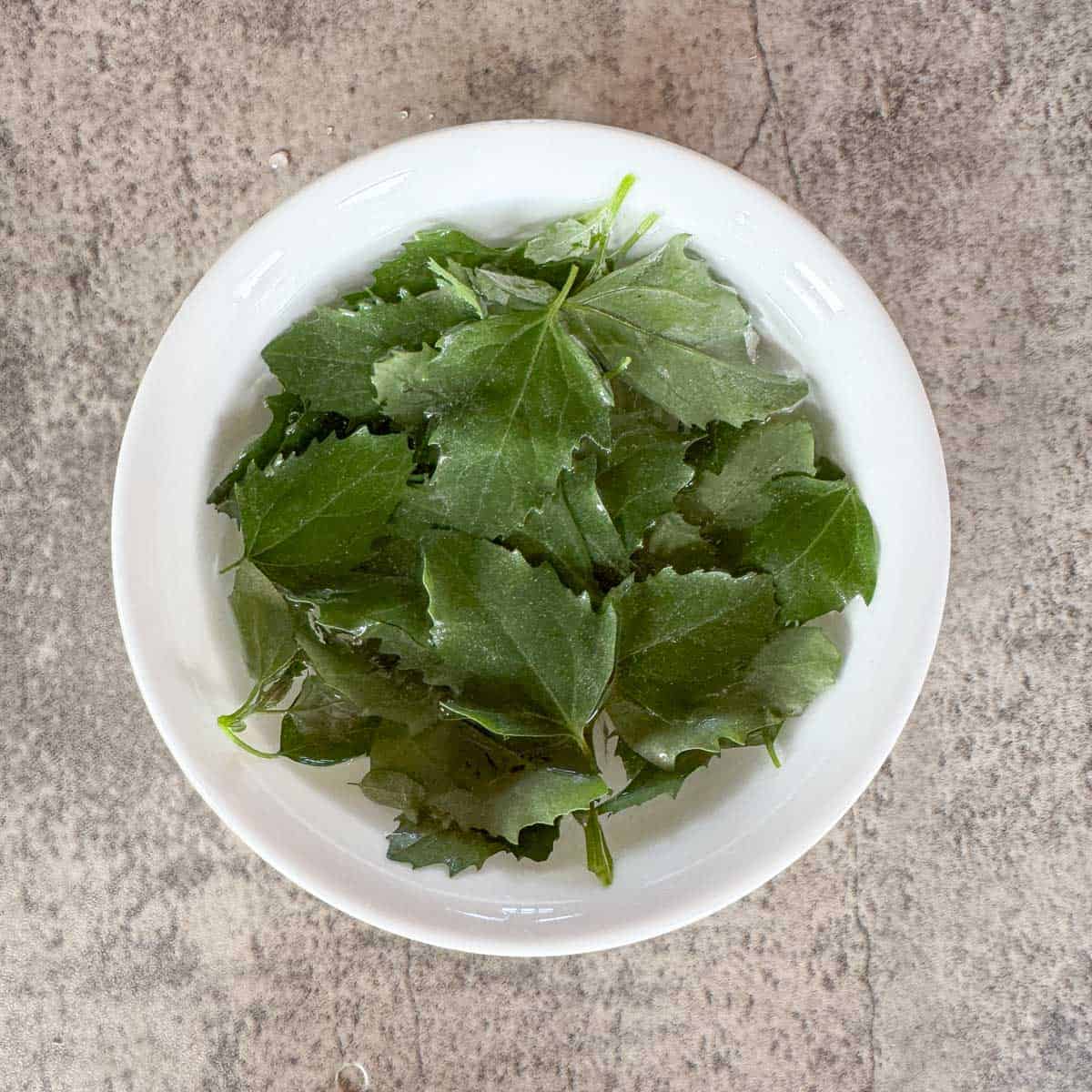 lamb's quarters in a bowl of water.