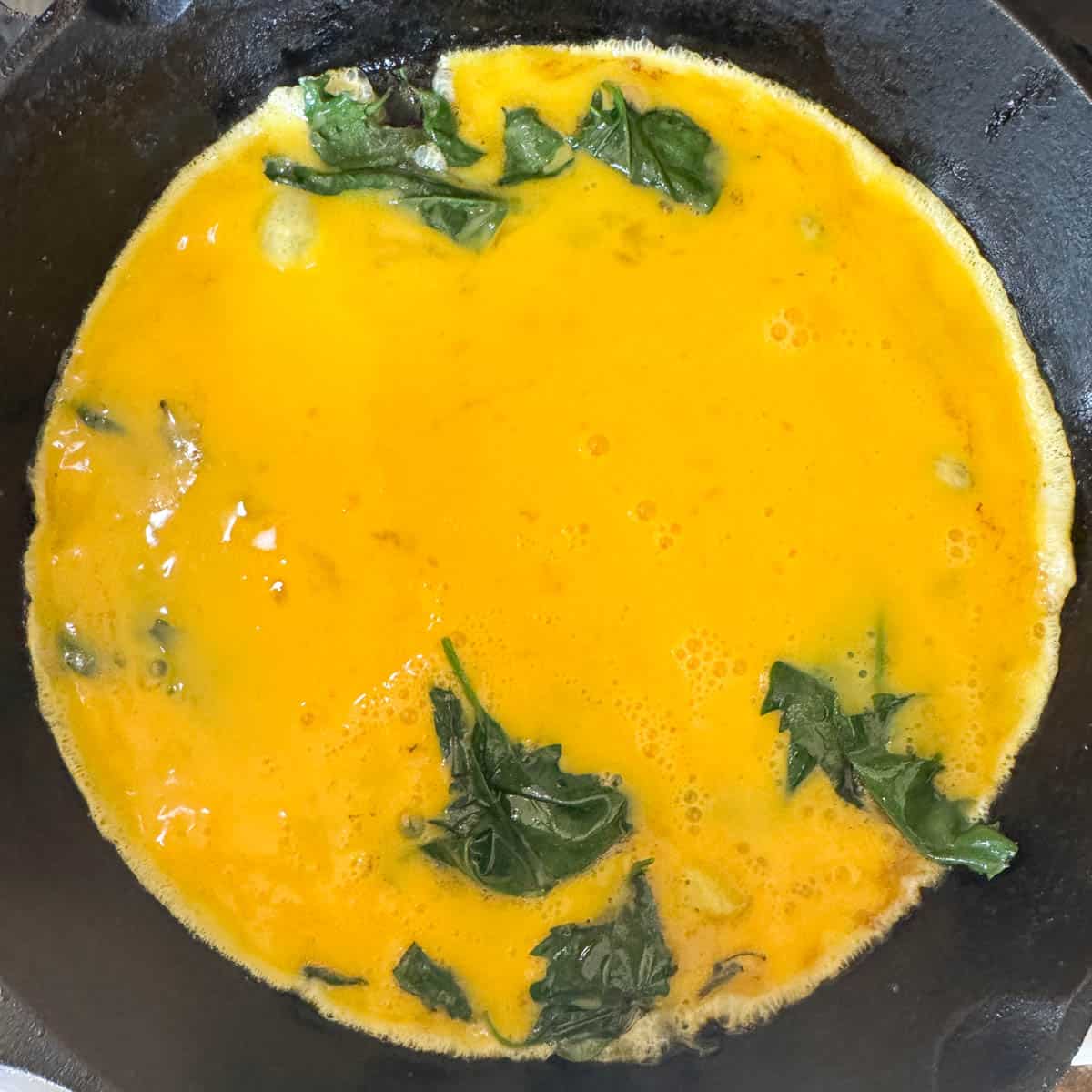 egg in a pan with spinach. 