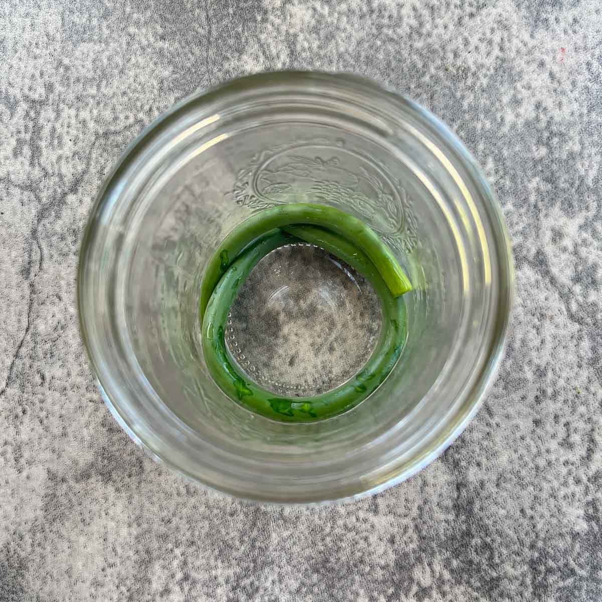 garlic scapes wound up in a jar. 