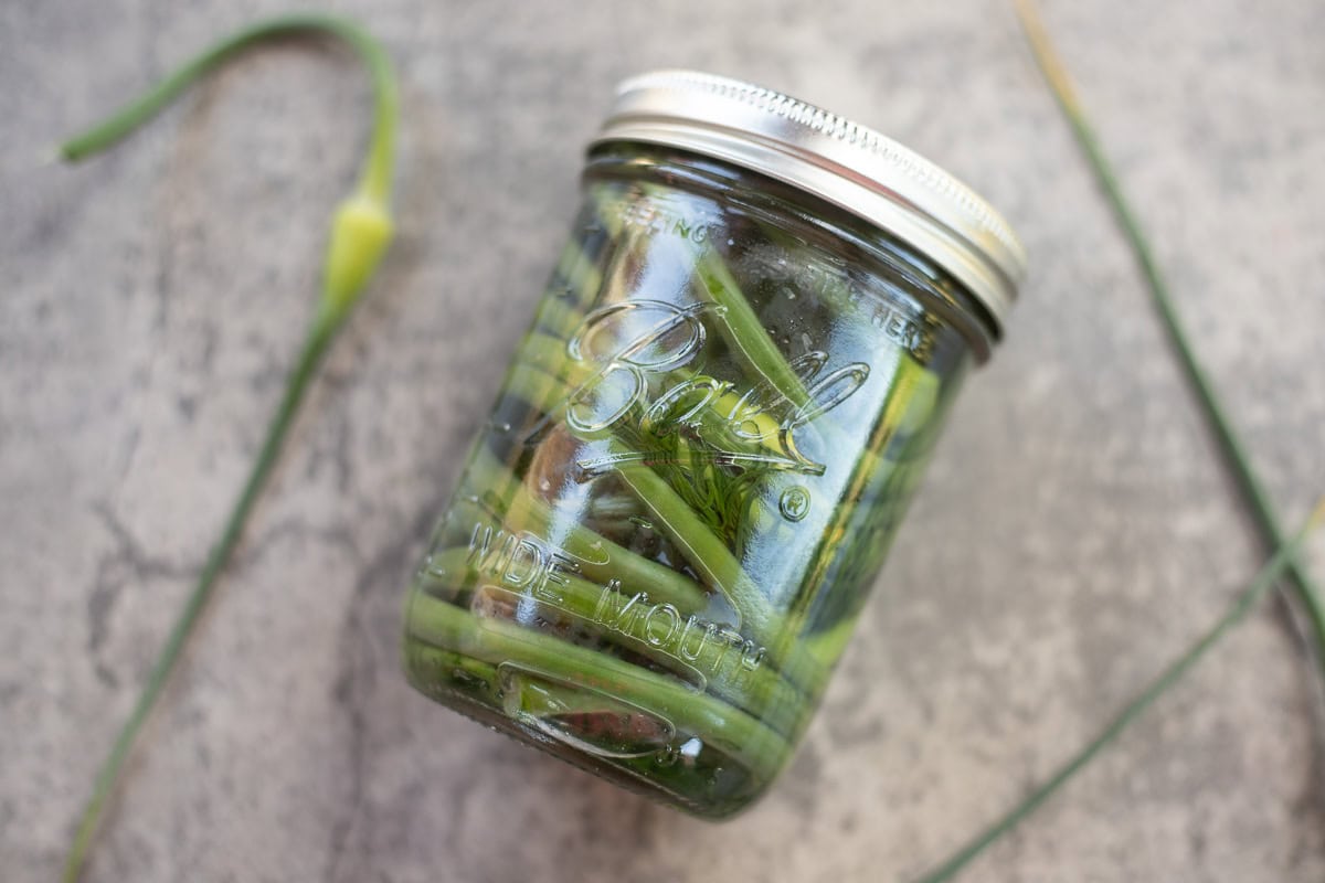garlic scapes in a jar with mre around it.