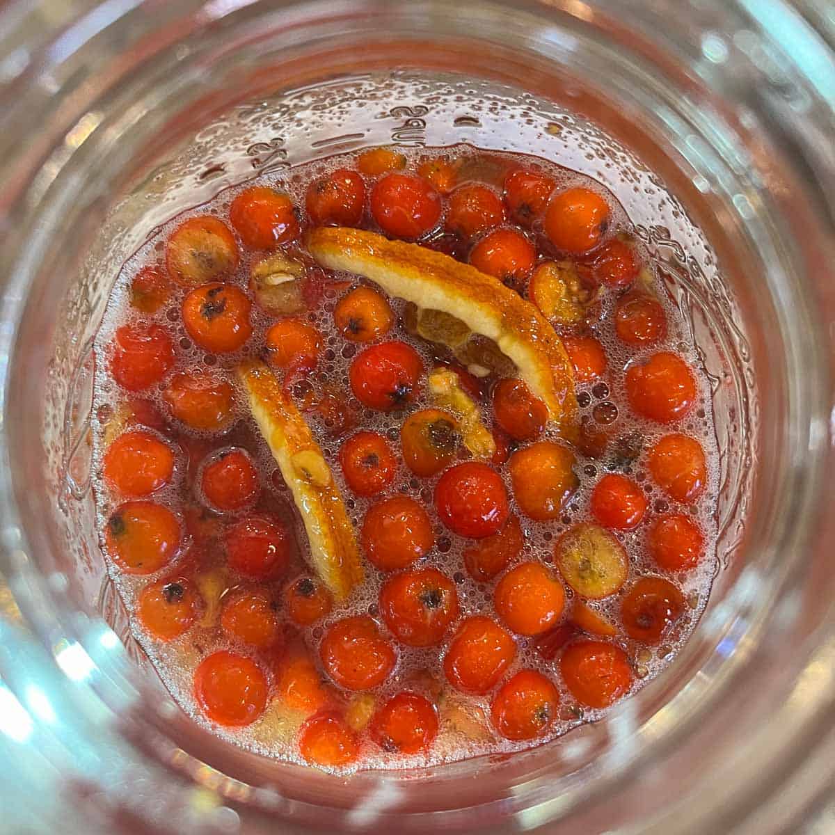 rowan berries, sugar, and orange slice in a jar of shrub.