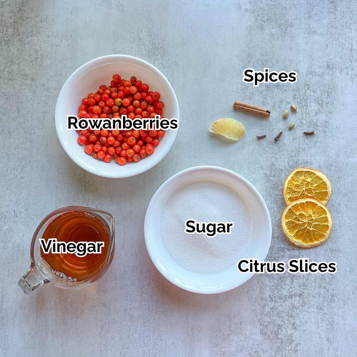Rowanberry shrub ingredients.