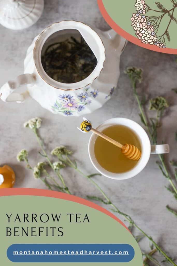 yarrow tea served with honey.