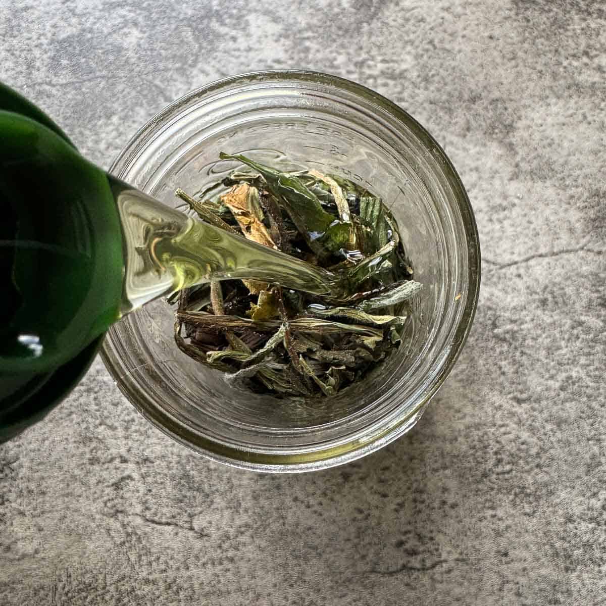 pouring oil over comfrey in a jar.