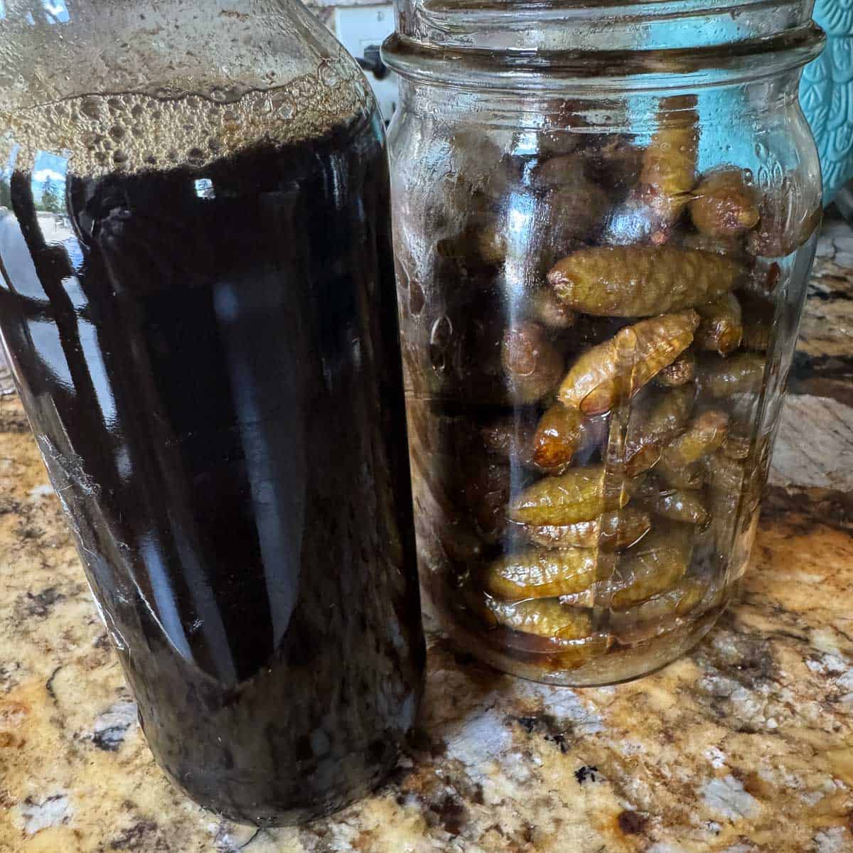 a bottle of pinecone syrup with a bottle of strained pinecones next to it. 