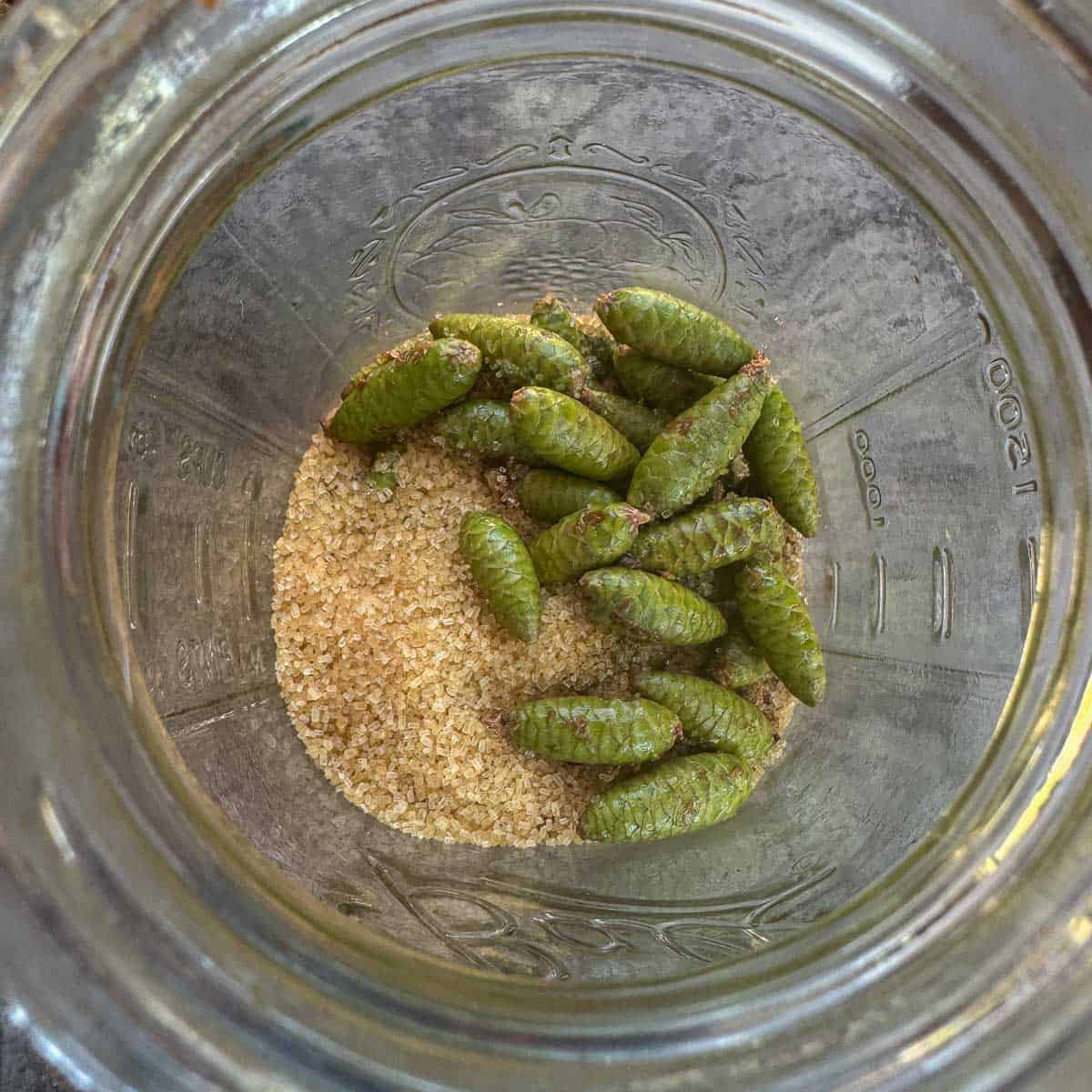 jar with mini green pinecones and raw sugar.