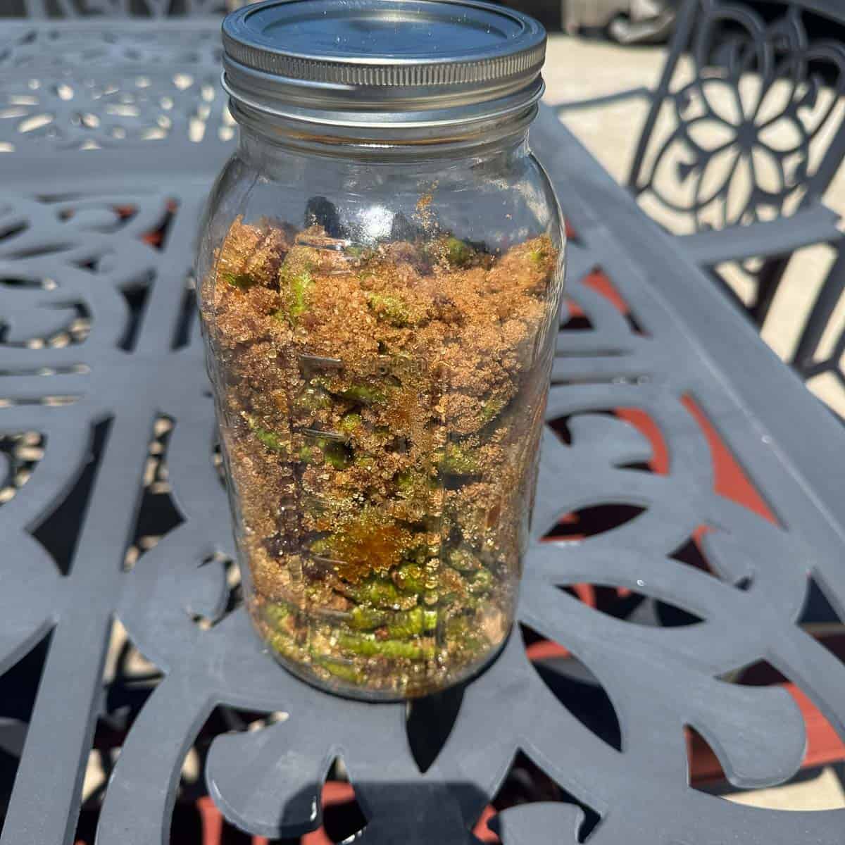jar with mugolio ingredients (brown sugar and pinecones) on a table. 