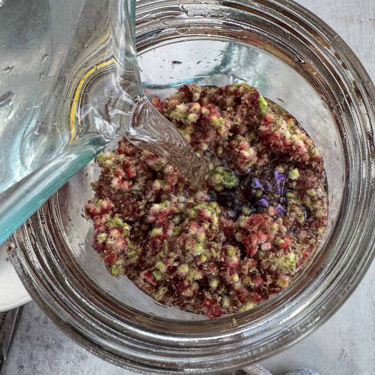 a jar with sumac berries, lavender, and water. 