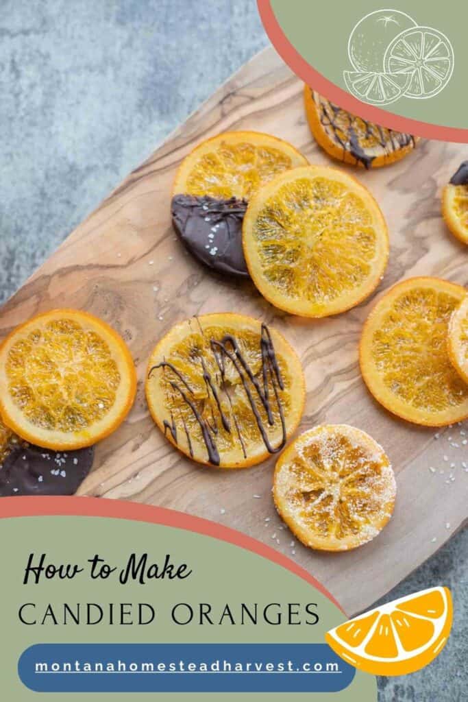 candied orange slices drizzled with chocolate.