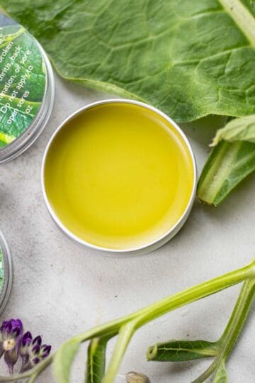 comfrey salve with comfrey plant around it.