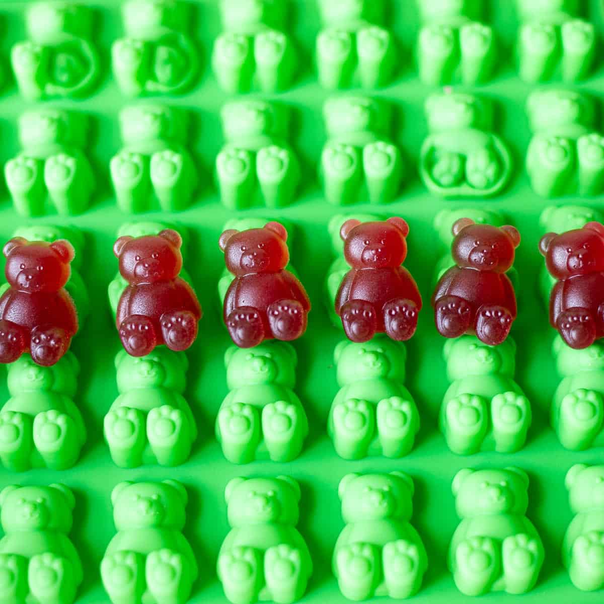 elderberry gummies on silicone gummy tray.