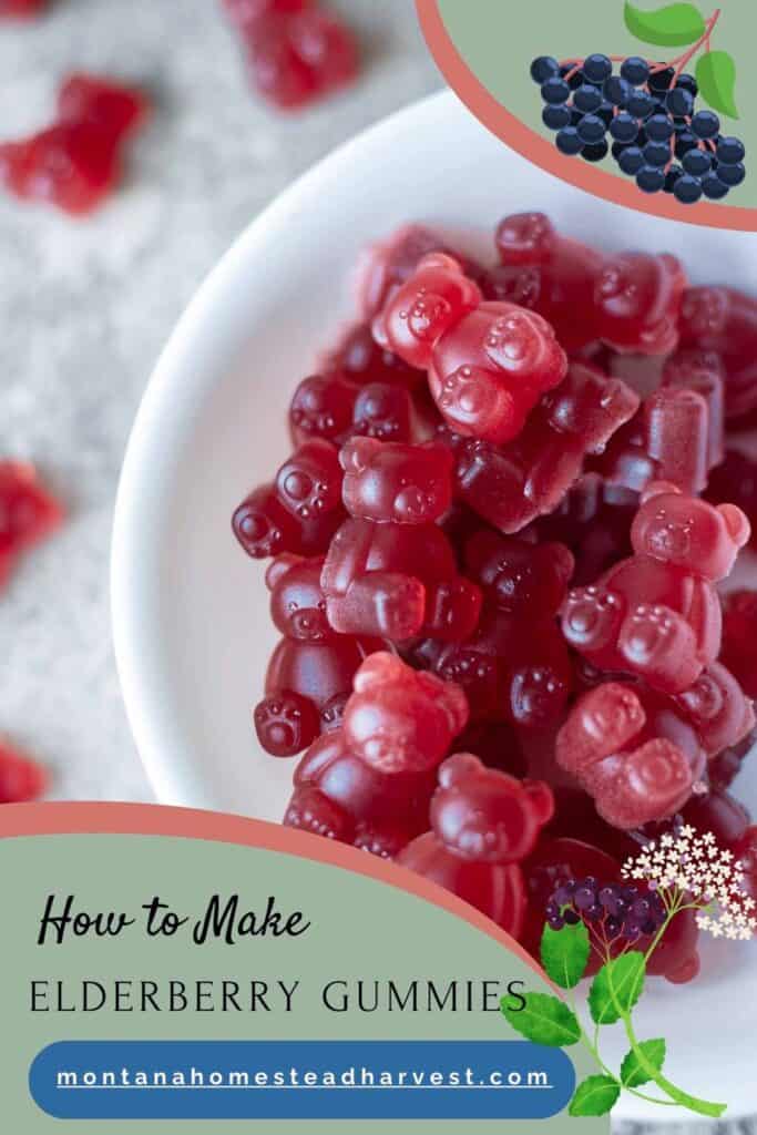 elderberry gummies in a bowl.