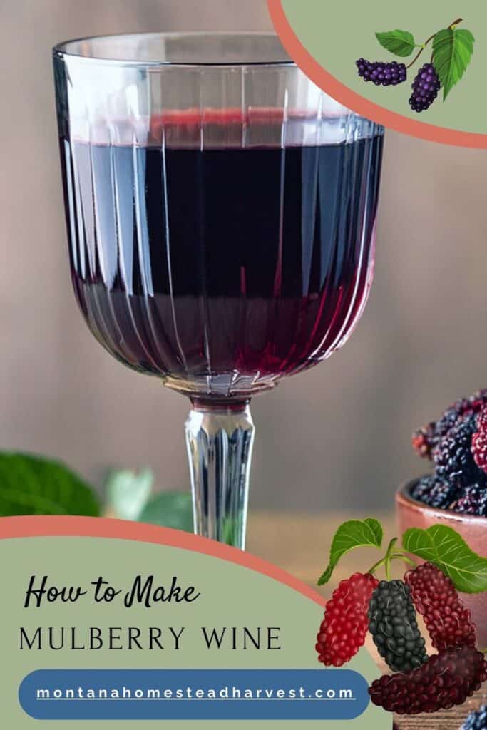 mulberry wine in a glass.