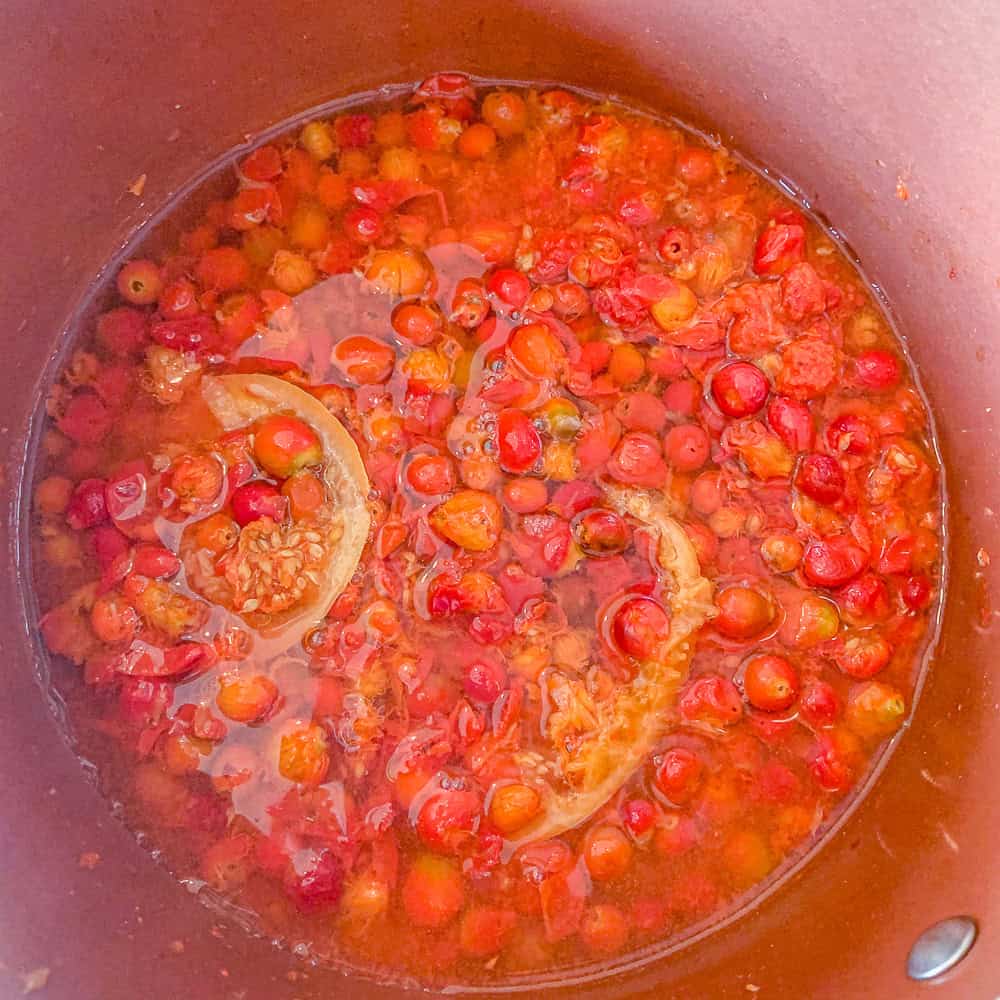 rose hips and orange slices simmering in a pot.