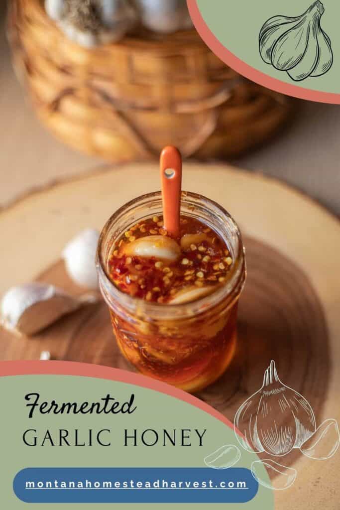 fermented garlic honey pin.
