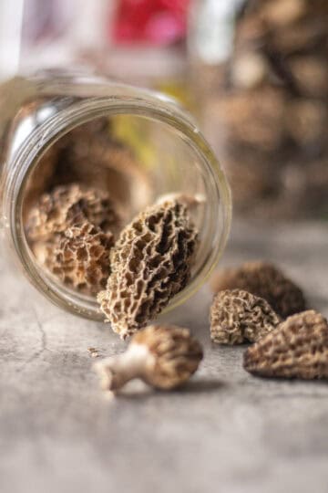 freeze dried mushrooms spilling out of a jar.