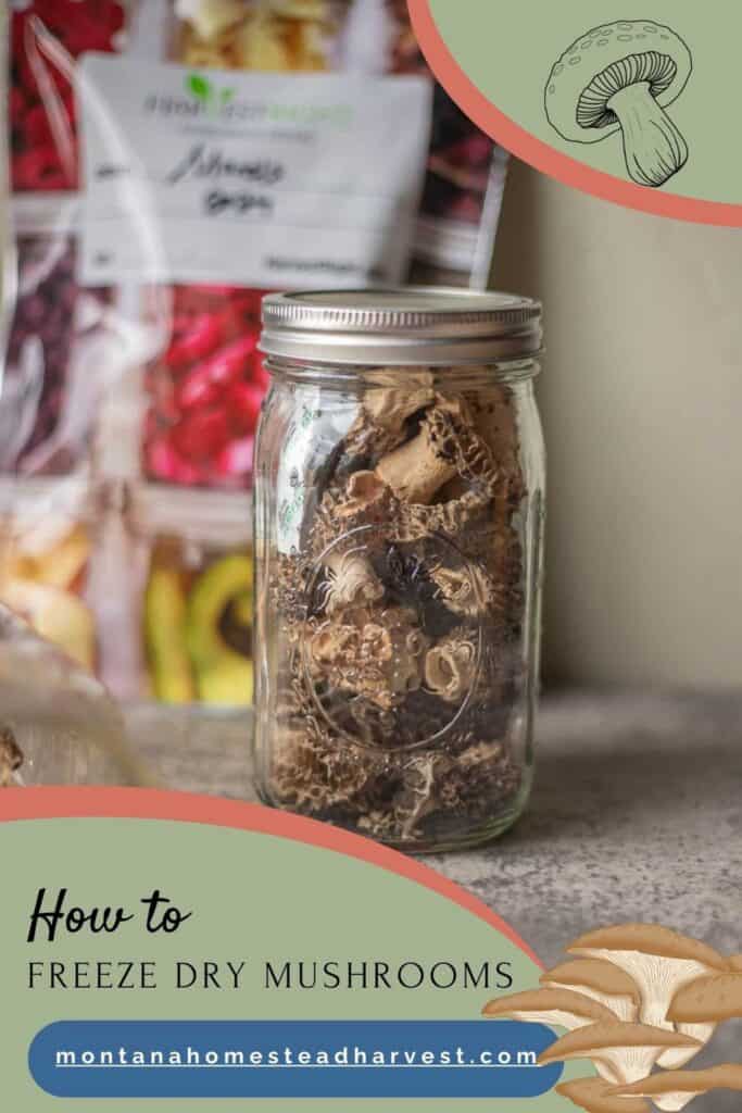 freeze dried mushrooms in a jar.