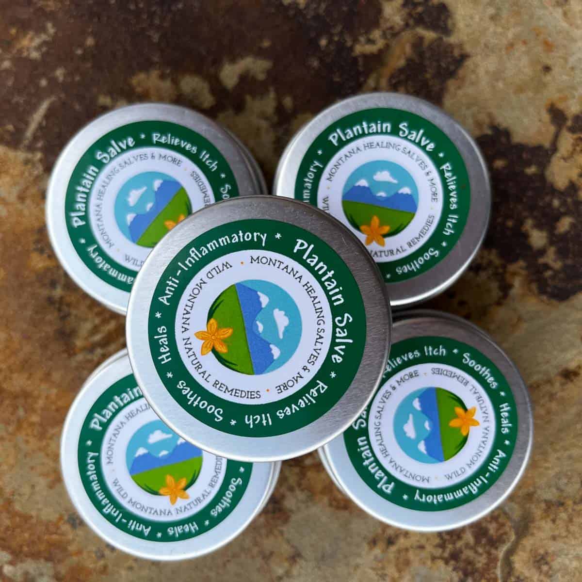 Plantain Salve