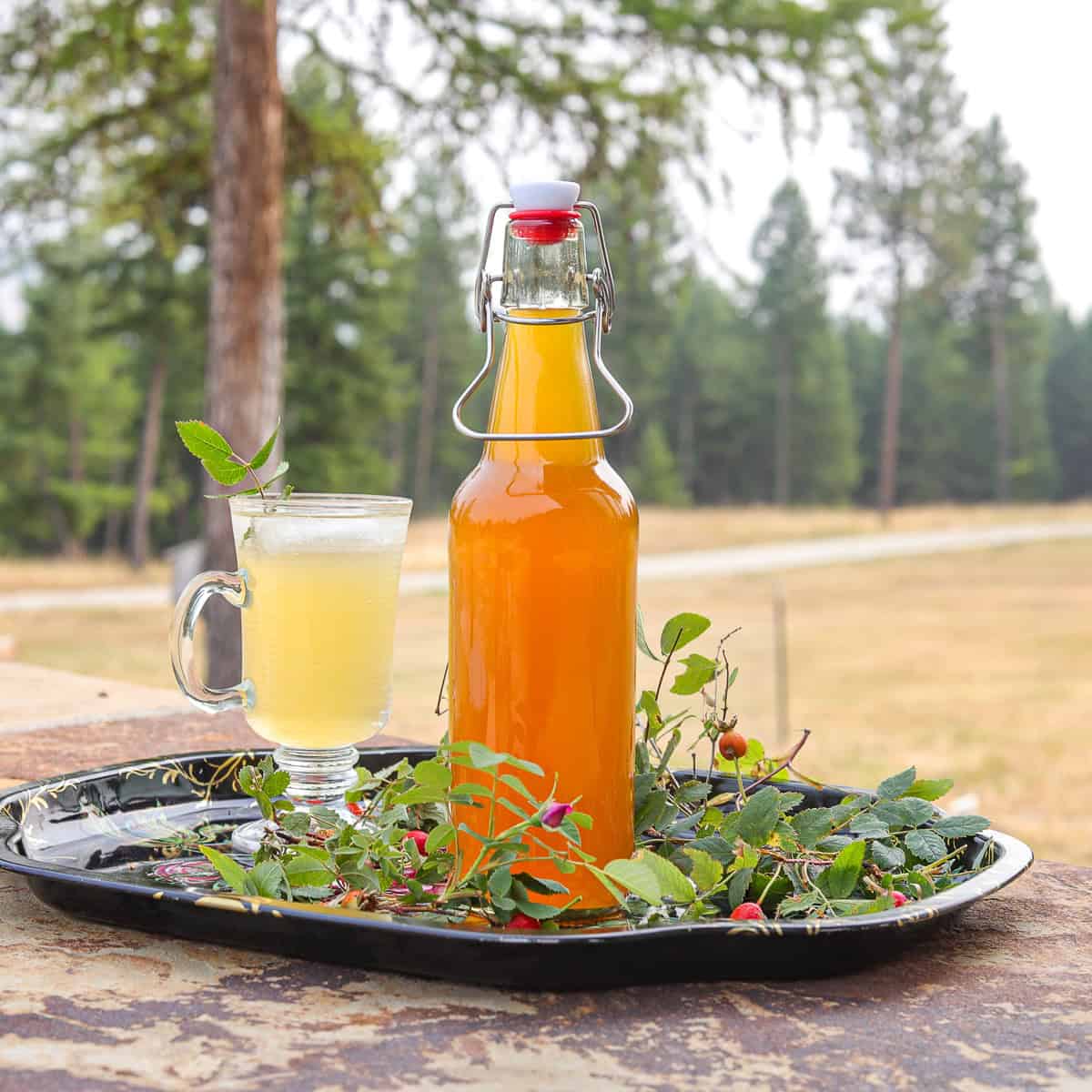 rosehip syrup in a fliptop bottle on a tray .