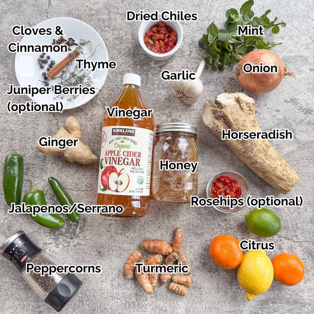 fire cider ingredients including vinegar, honey, ginger, horseradish, citrus, chiles, and spices.