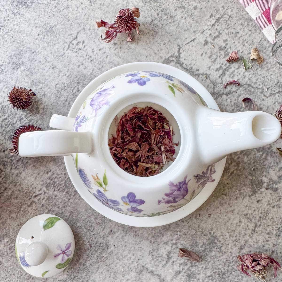 Echinacea Tea in a tea pot