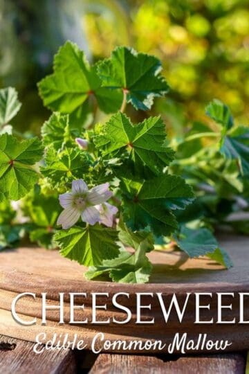 mallow on a a wooden tray